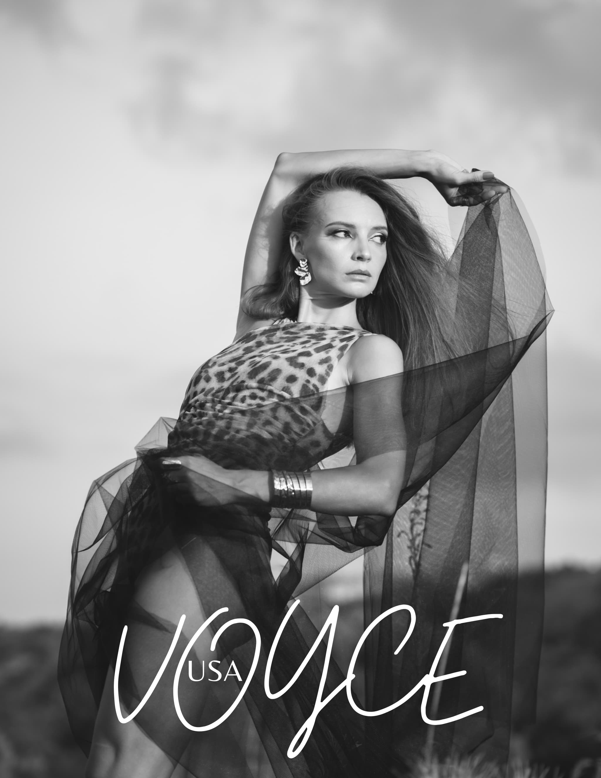 Voyce USA Vol. 38 — page 2